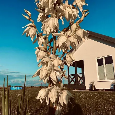 Baltico Letniskowe Lodge *