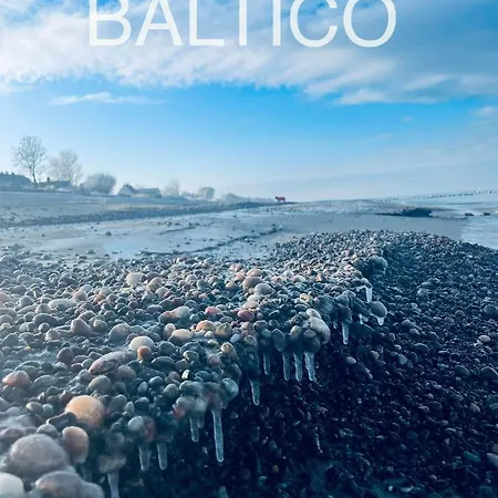 Baltico Letniskowe *