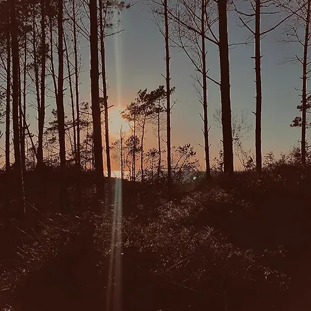 山林小屋 Baltico Letniskowe *