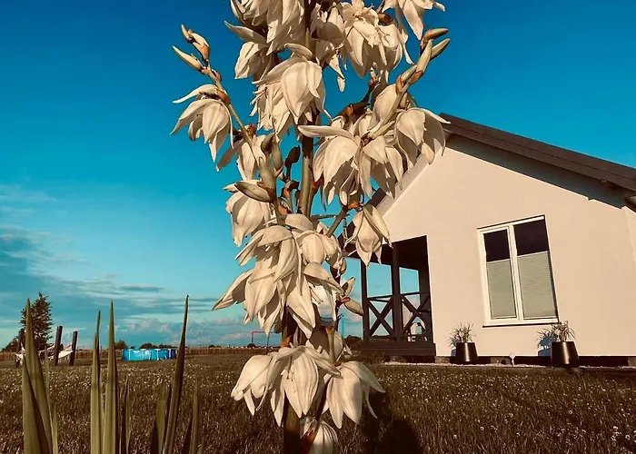 Baltico Letniskowe Hytte *