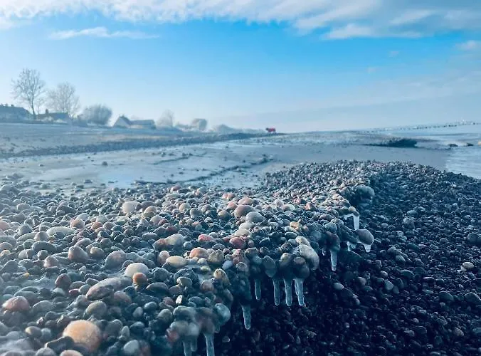 Baltico Letniskowe *