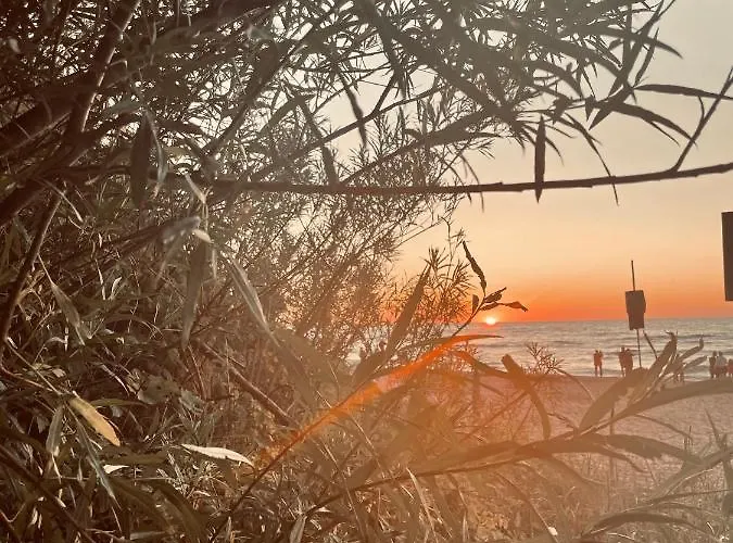 Baltico Letniskowe Sarbinowo